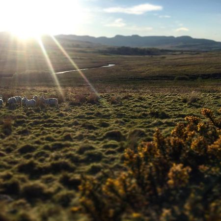 Old Skool Accommodation Trawsfynydd Экстерьер фото